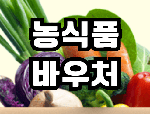 농식품바우처 신청 홈페이지 사용처 잔액조회 자격 금액 총정리